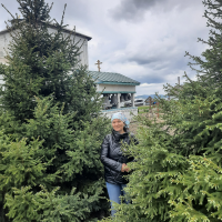 Фото №8264
