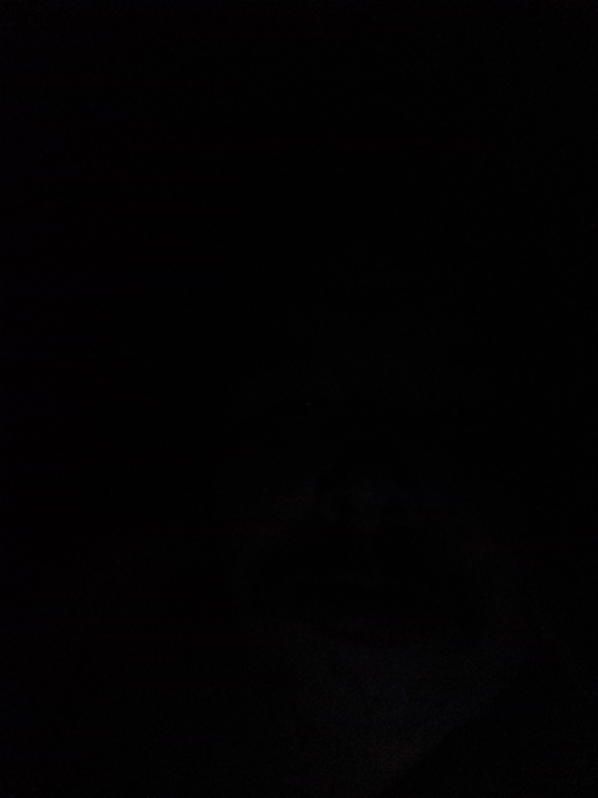 Данил  Рыбочкин