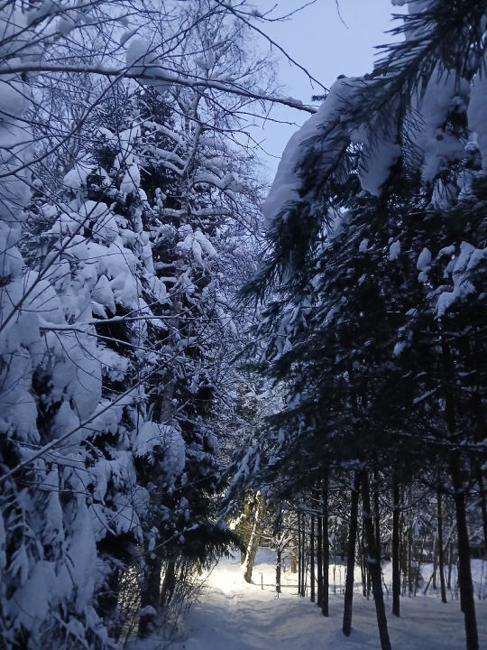 Роман